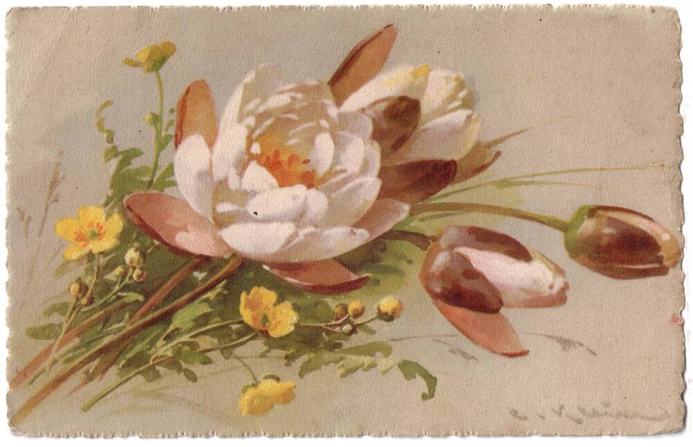 Почтовая открытка Композиция с цветами.