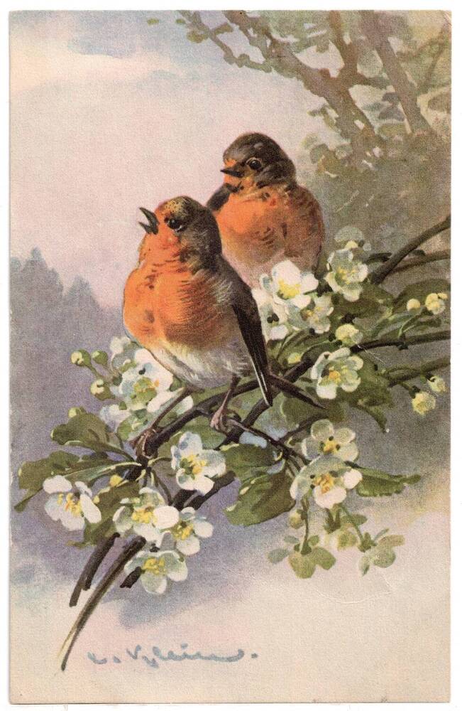 Почтовая открытка Птицы. № 4855.