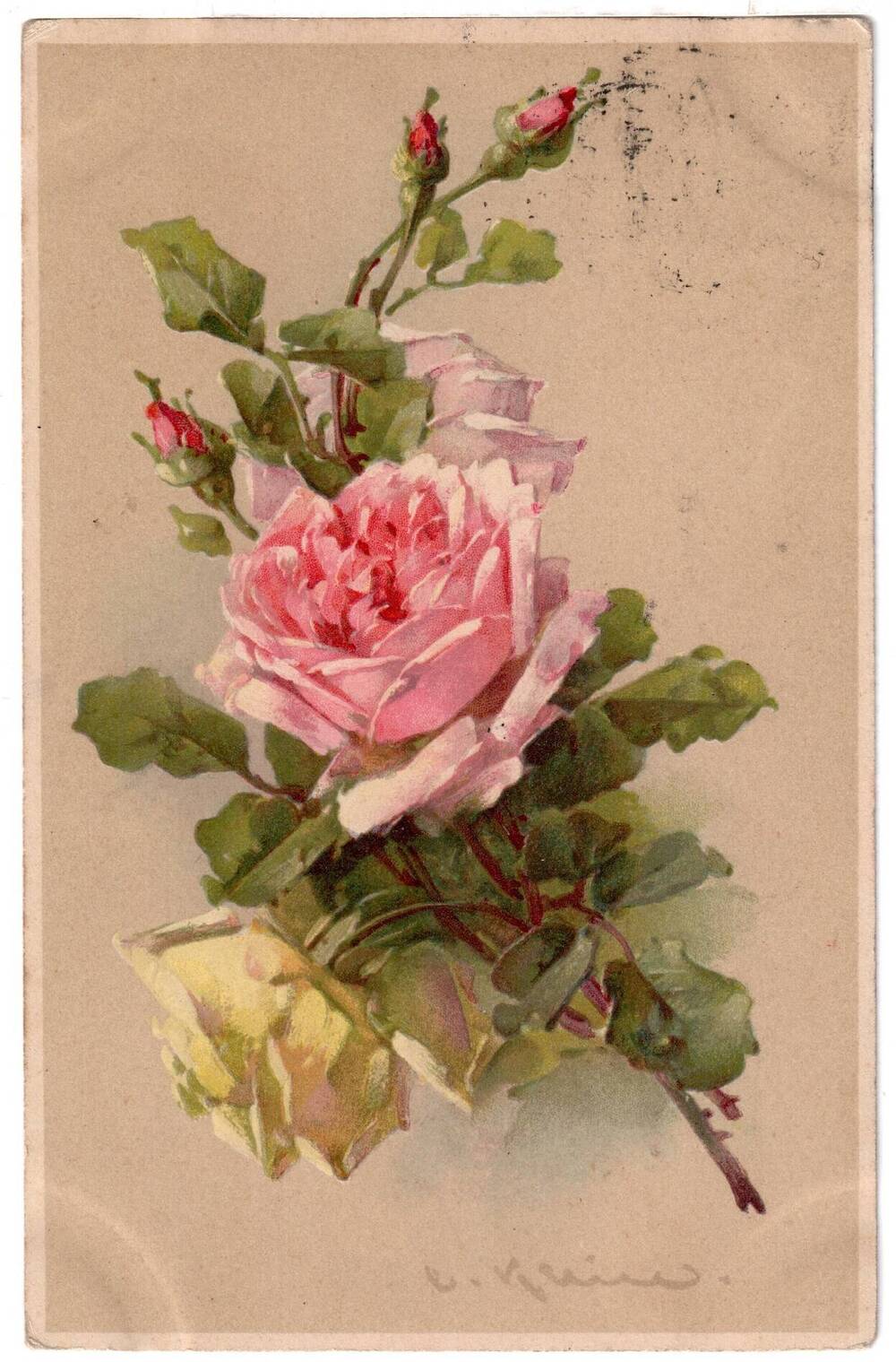 Почтовая открытка Розовые и белая розы. 1120.