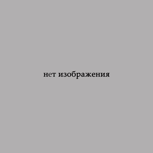 Чехол для лезвия ледового конька. Ленинград, 1954 г.