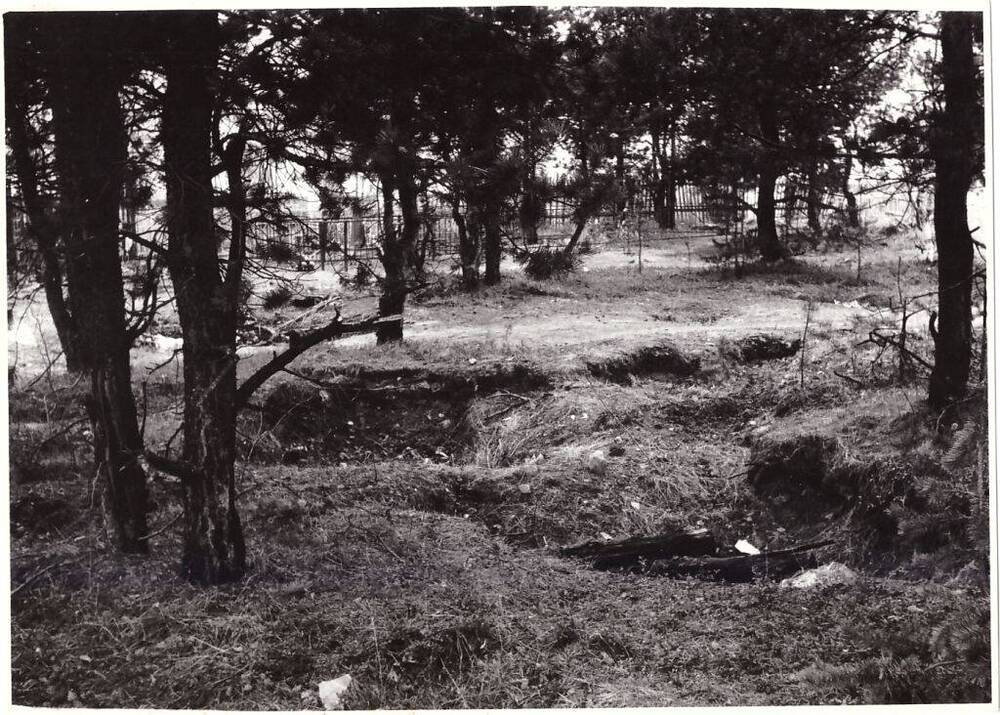 Фото черно-белое, видовое Провалы на месте групповых захоронений в районе городского кладбища г. Печоры, Коми АССР, 1992 год
