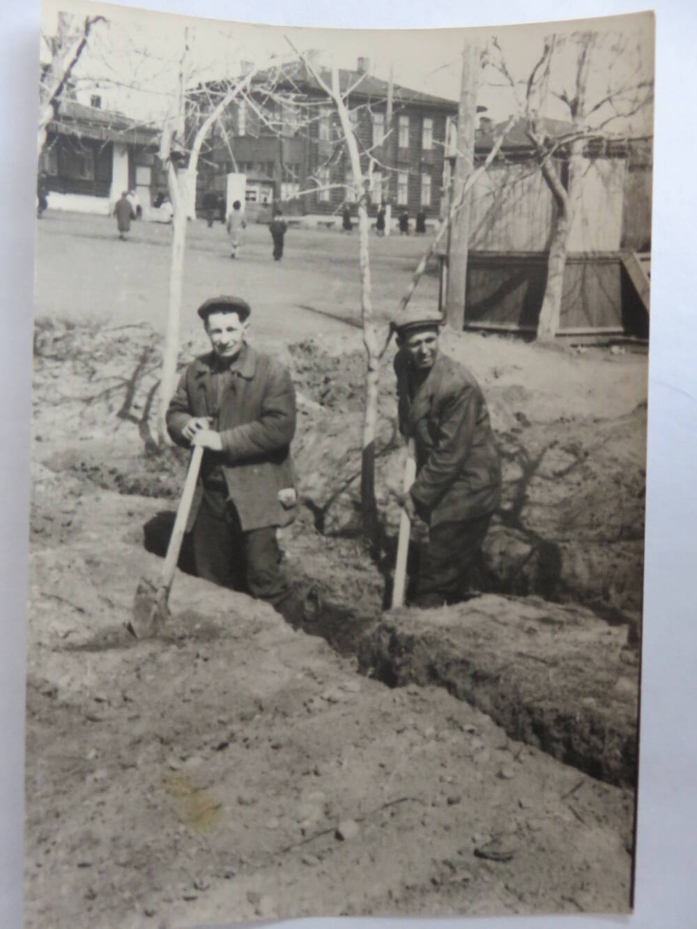 Фотография Субботник по пересадке деревьев на Советской площади