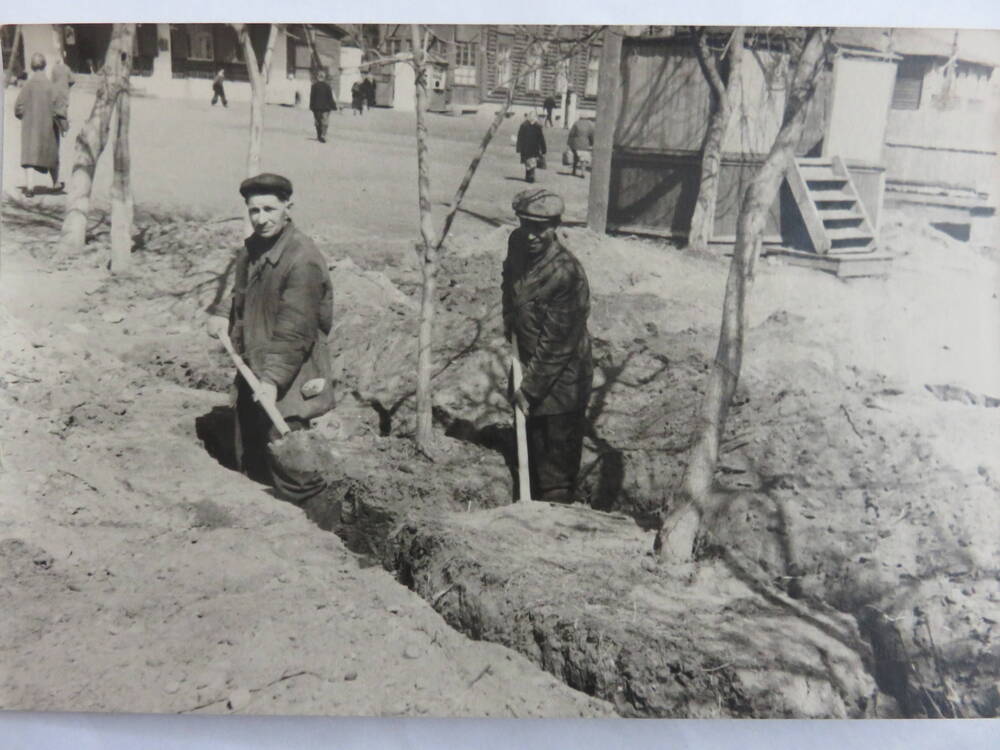 Фотография Субботник по пересадке деревьев на Советской площади