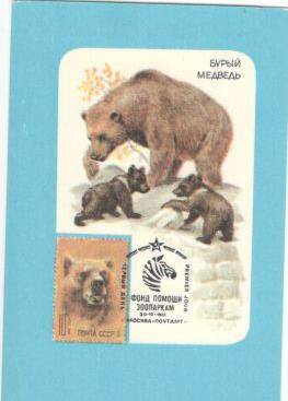 Карманный календарь, 1990 г. Бурый медведь