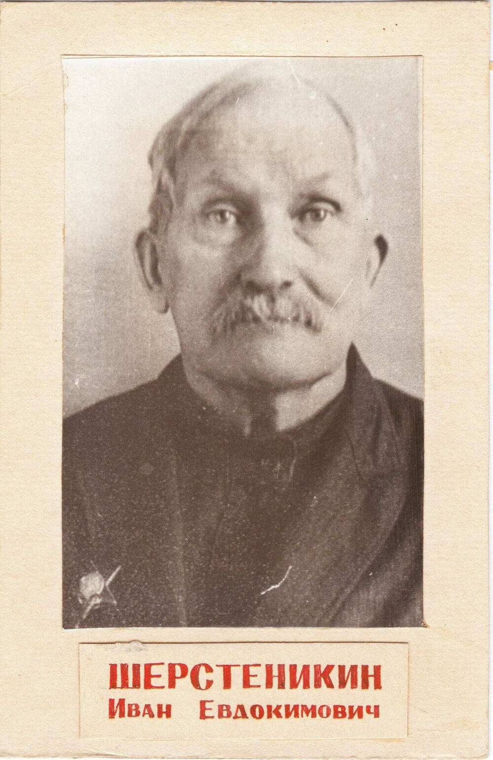 Фотопортрет погрудный на паспарту Шерстеникина Ивана Евдокимовича