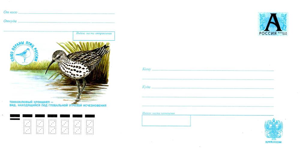 Конверт почтовый с изображением тонкоклювого кроншнепа и надписью Союз охраны птиц России.