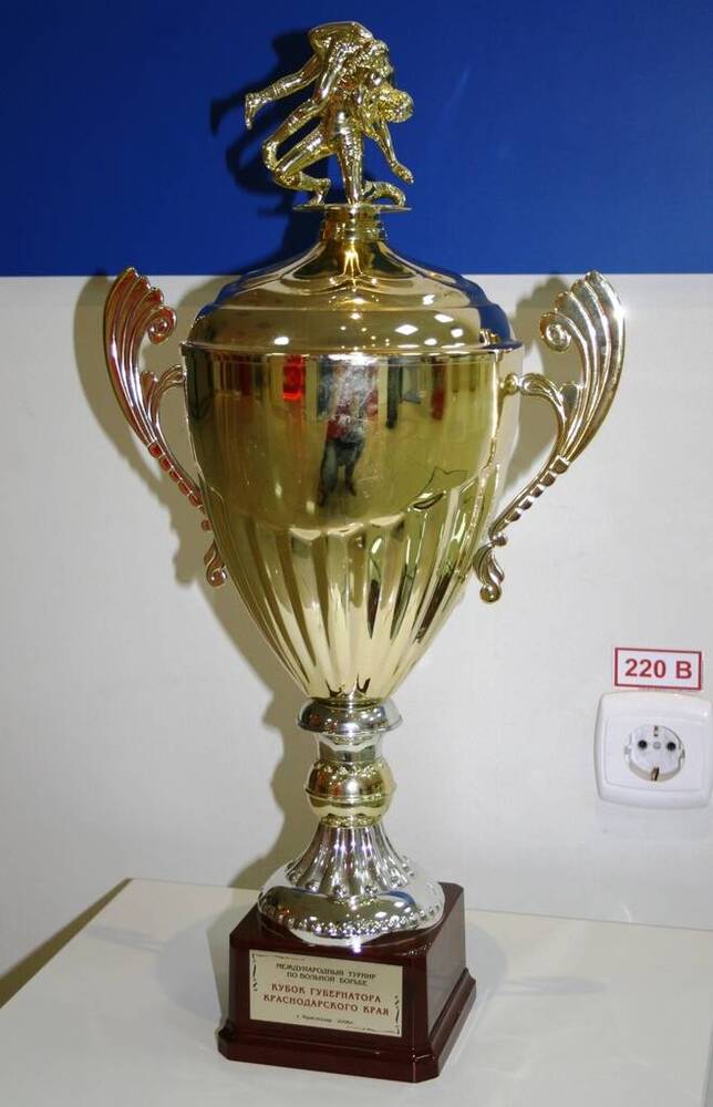 Кубок золотому призеру Международного турнира по вольной борьбе Кубок губернатора Краснодарского края. 