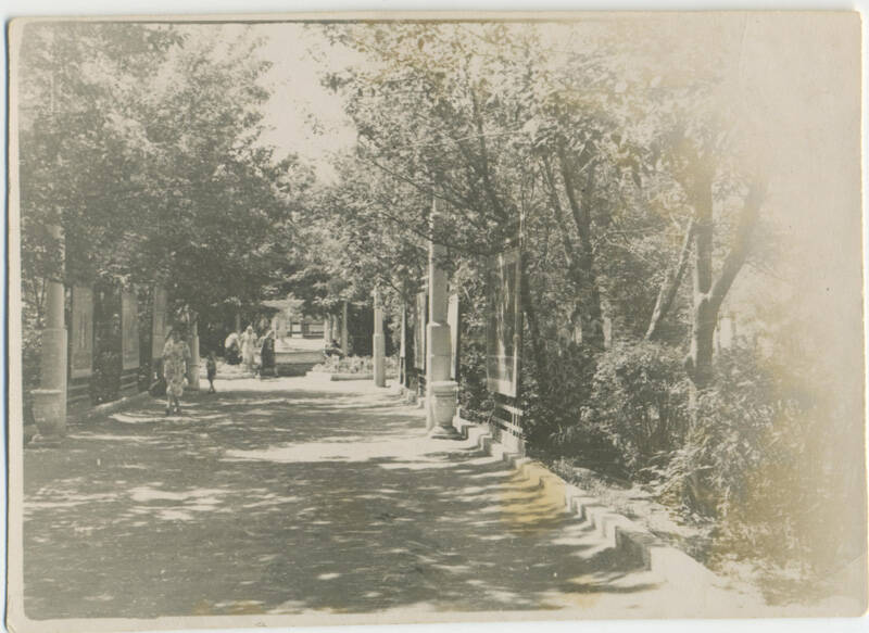 Фотография (видовая) вид на аллею городского сада г. Белгорода (вход со стороны бывшей ул. Ленина, ныне Гражданский проспект)