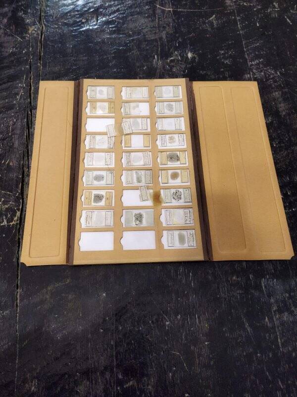 Кассы картонные, трехстворчатые. Для хранения петрографических шлифов (на 27 штук каждая). Фирмы Siebert