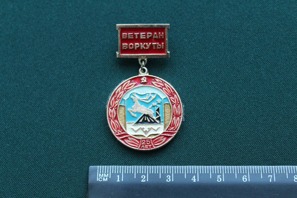Медаль  Ветеран Воркуты