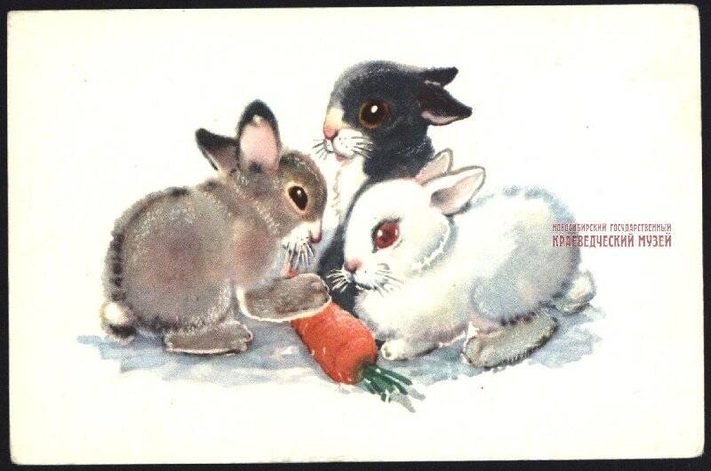Цветная открытка. Кролики.