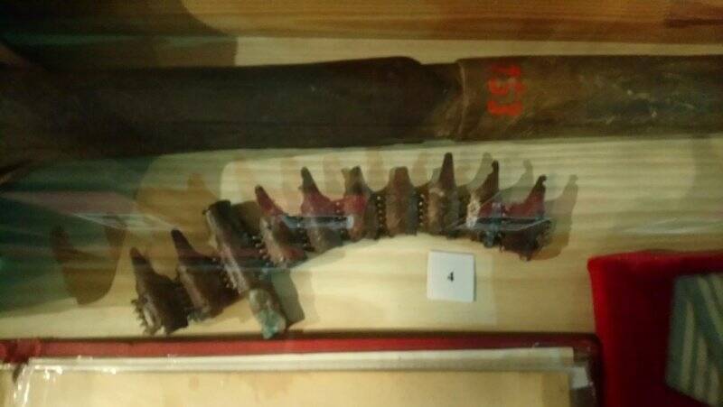 Кусок пулеметной ленты  с поля боя  Корсунь-шевченковской битвы.