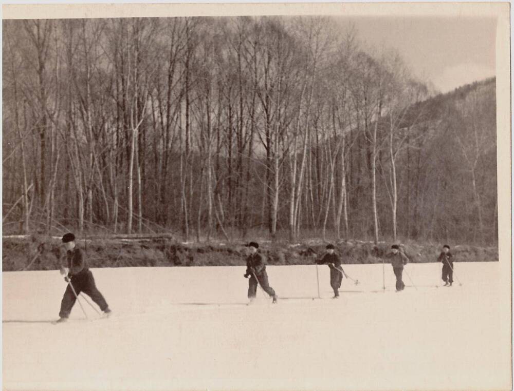 Фотография «Лыжная прогулка»