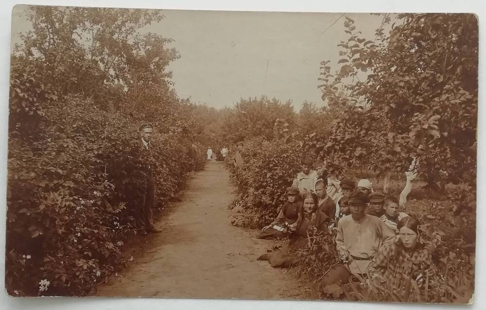 Фотооткрытка фруктового сада Топорнинской плодово-ягодной станции