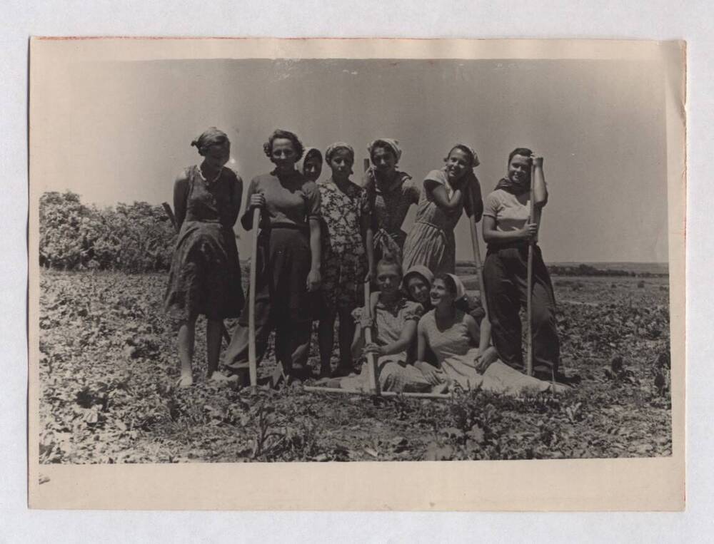 Фотография черно-белая, групповая. Изображена группа школьниц старших классов на уборке урожая. Учащиеся школы № 104, 1958 год.