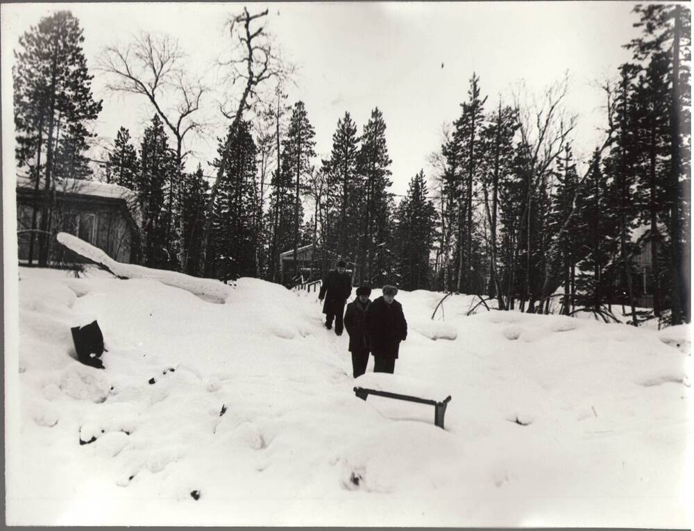 Фотография ч/б. «База отдыха ГОКа «Ковдорслюда» на о. Чалмозеро».