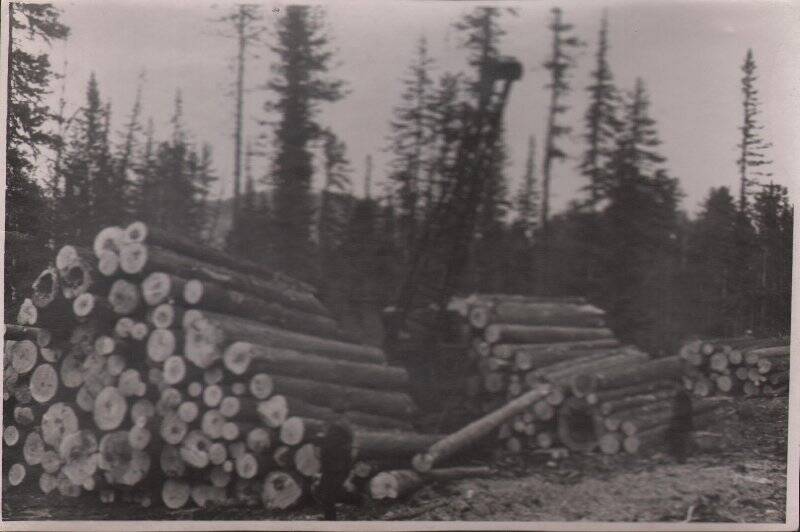 Фотография «Штабелевка леса мощным автокраном «Январец -1»