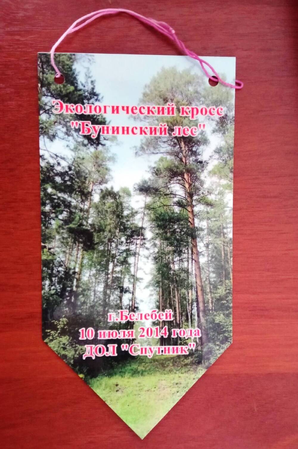 Вымпел экологического кросса «Бунинский лес»