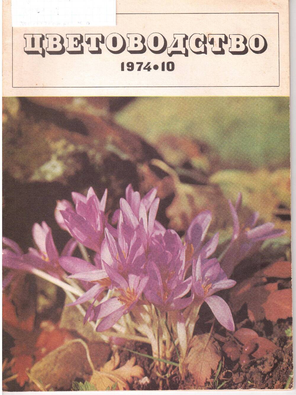 Журнал «Цветоводство» №10, октябрь-1974г.