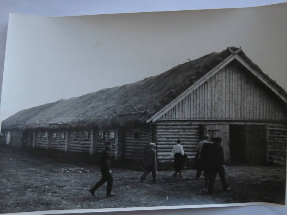 Фотография Трудовая деятельность Госконюшни