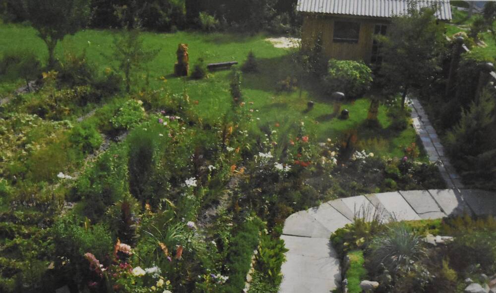 Фотография. Усадьба Ю. Н. Прохина. Зоны отдыха на садовом участке. Одна из аллей сада
