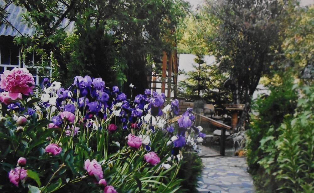 Фотография. Усадьба Ю. Н. Прохина. Различные виды  цветов на садовом участке