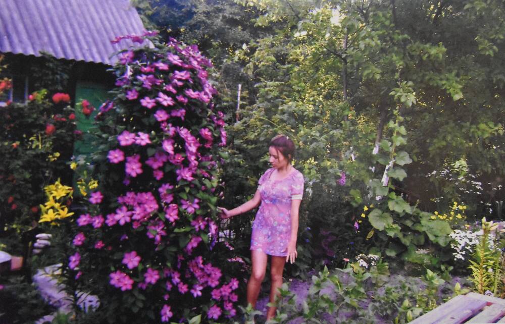 Фотография. Усадьба Ю. Н. Прохина. Различные виды  цветов на садовом участке. Какой клематис