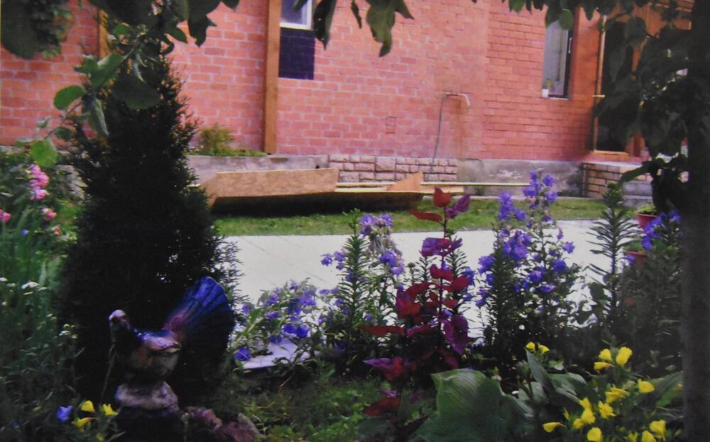 Фотография. Усадьба Ю. Н. Прохина. Различные виды  цветов на садовом участке. Всё в цвету.