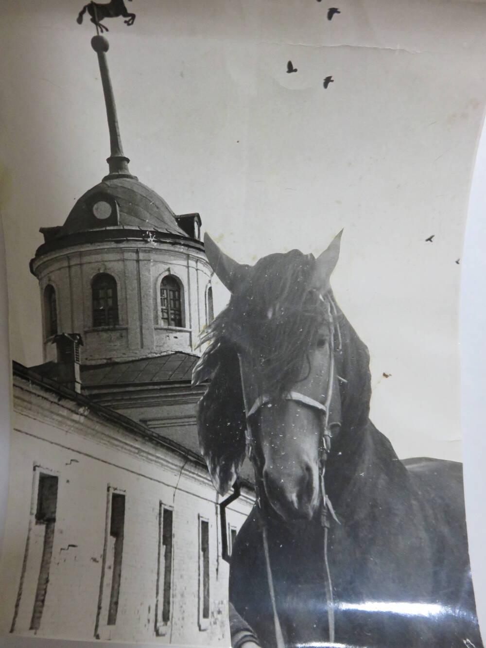 Фотография Вид башни Гаврилово-Посадского конного завода