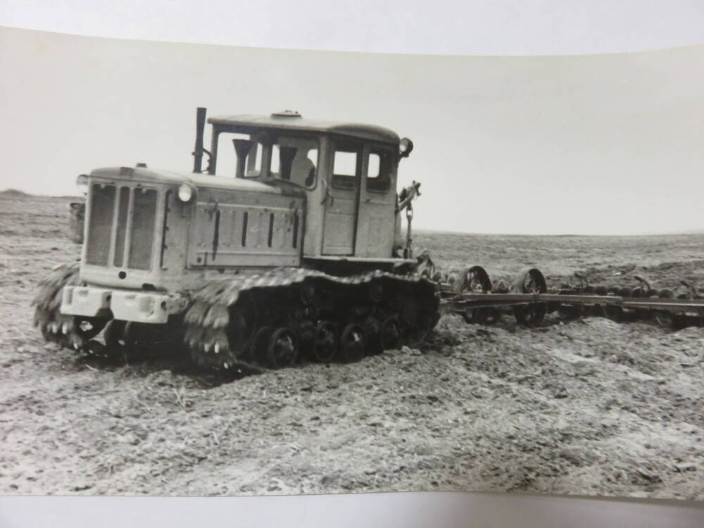 Фотография Трудовая деятельность Госконюшни