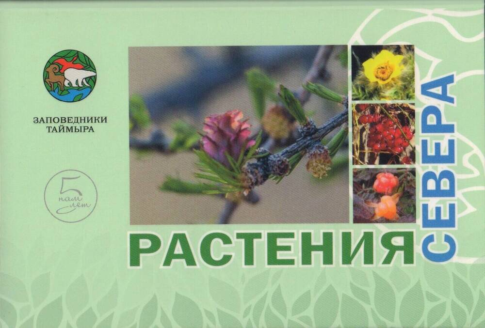 Конверт от комплекта открыток «Растения севера»