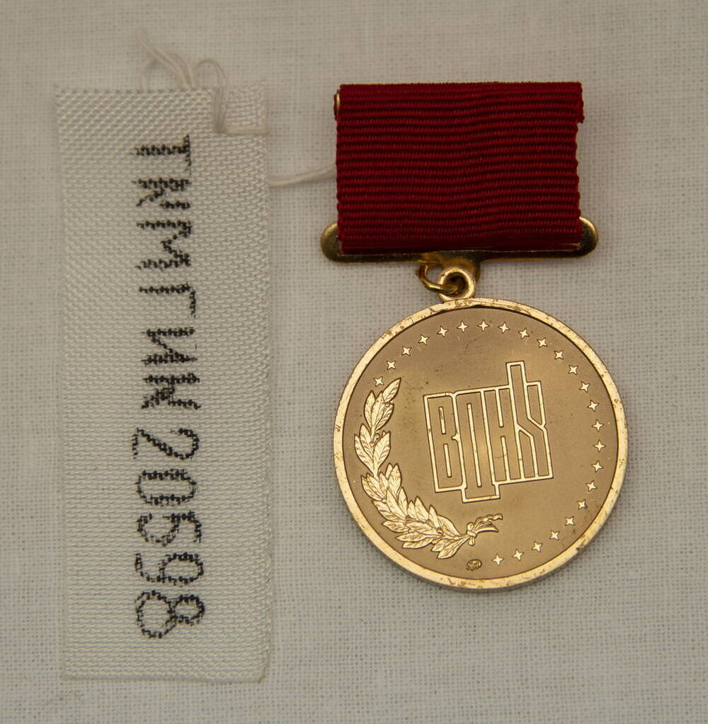 Медаль «За успехи в научно-техническом творчестве» Сигунея Владимира Эйновича