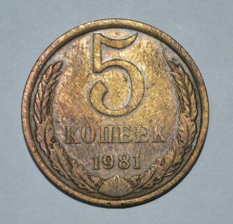 Монета СССР - 5 копеек. 1981 г.