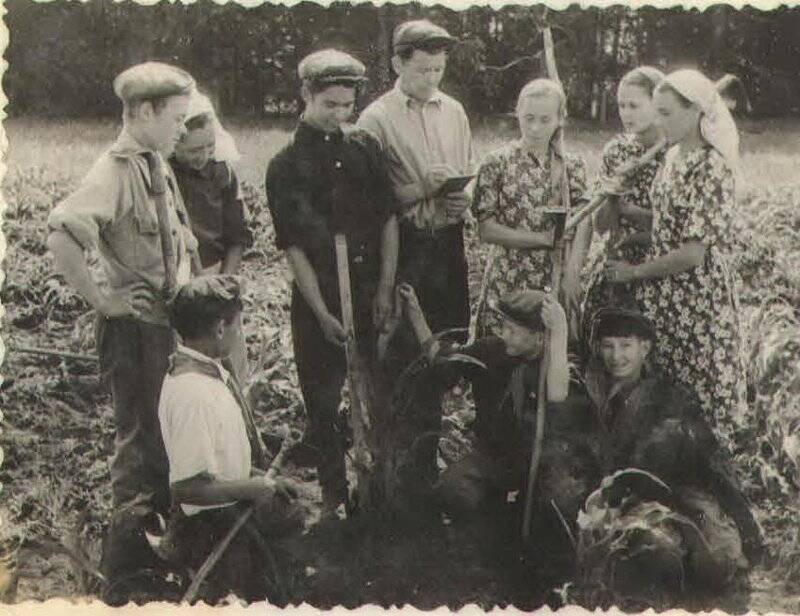 Фотография с изображением учащихся старших классов Иж-Бобьинской школы во время работы в колхозном поле.
