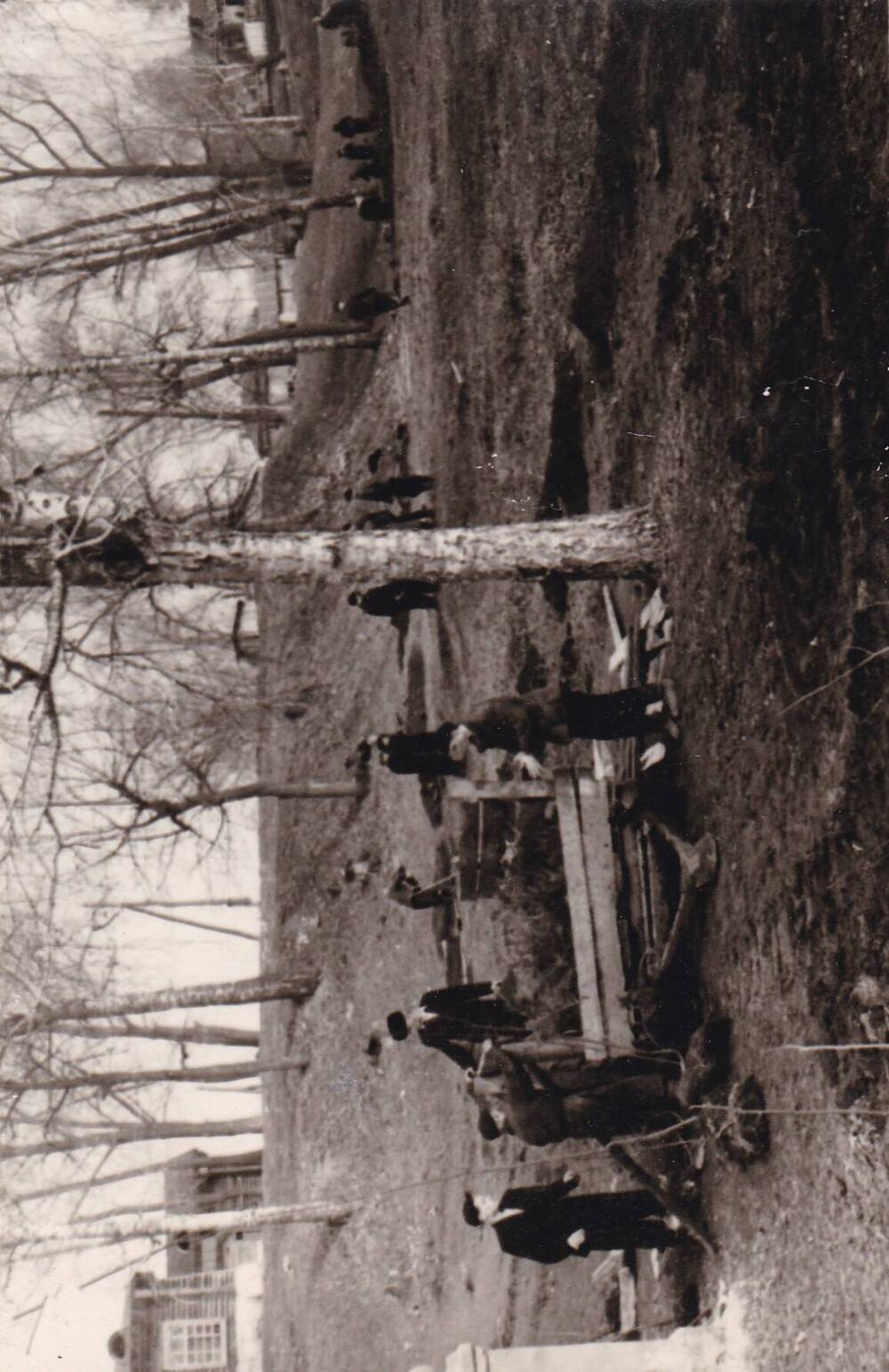 Фотография. Благоустройство Красноусольского стекольного заводского парка. 1960 г. г.