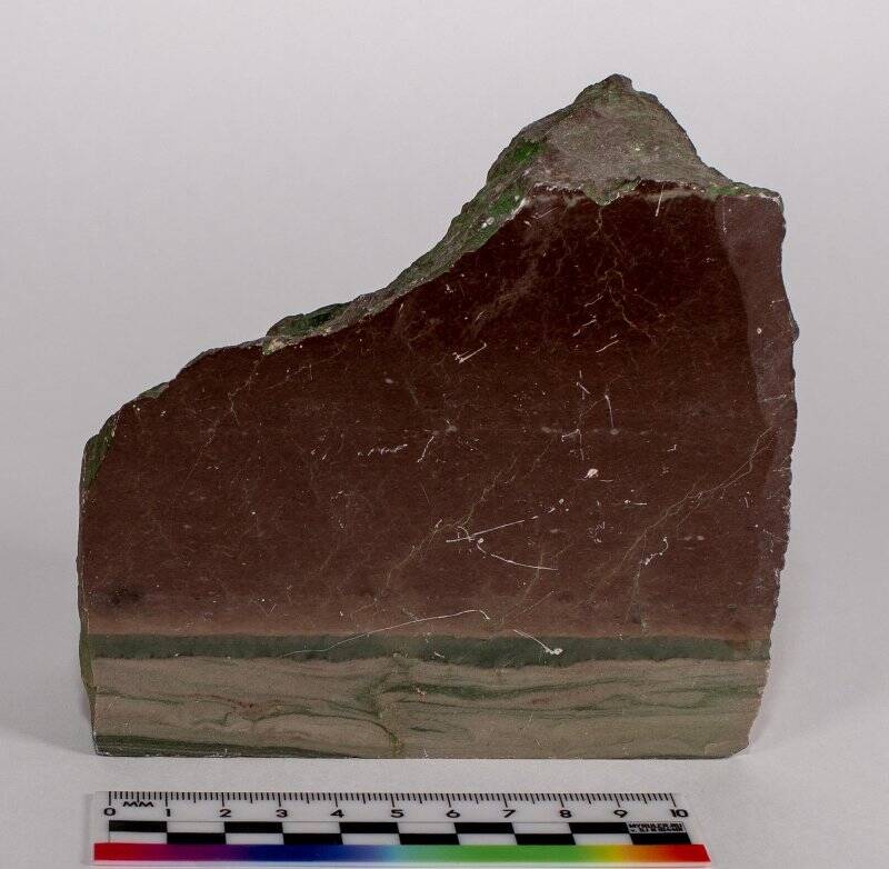 Горная порода. Известняк окремнелый с прожилками кальцита, из коллекции образцов минералов и горных пород Челябинской области