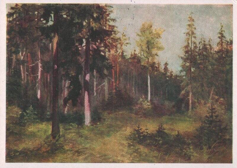 Открытка. Латвийские леса.