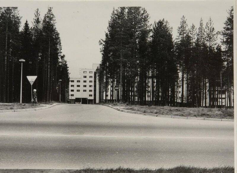 Фотонегатив. Дом, построенный финскими строителями (с оставленными рядом участками леса).