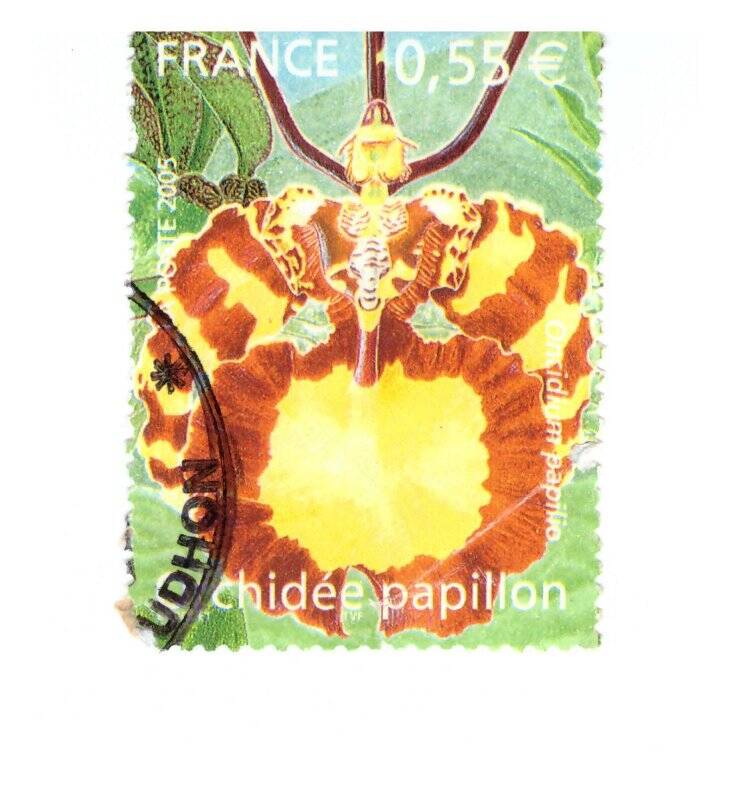  Марка почтовая.  0,55 евро. Orchidee papillon.