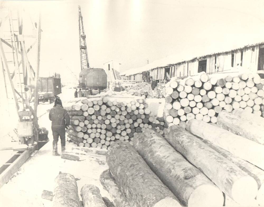 Фотография черно-белая. Древесно-подготовительное производство Сыктывкарского лесопромышленного комплекса. Разгрузка древесины из вагонов