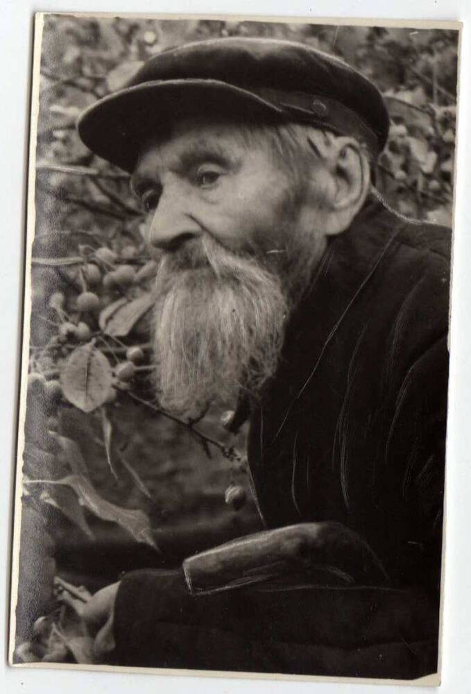 Фото. Феоктистов Александр Иванович, Сенгилеевский садовод. р.1870 г.