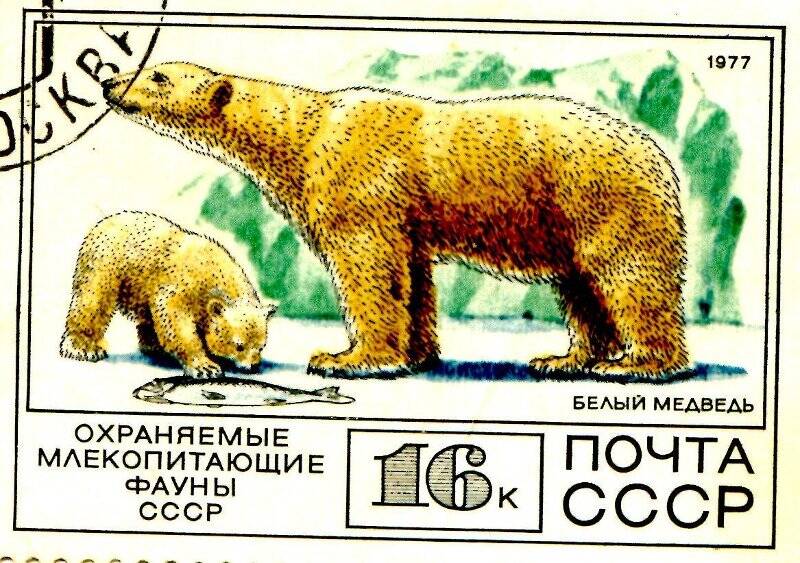 Марка почтовая. Белый медведь. Охраняемые млекопитающие фауны СССР.