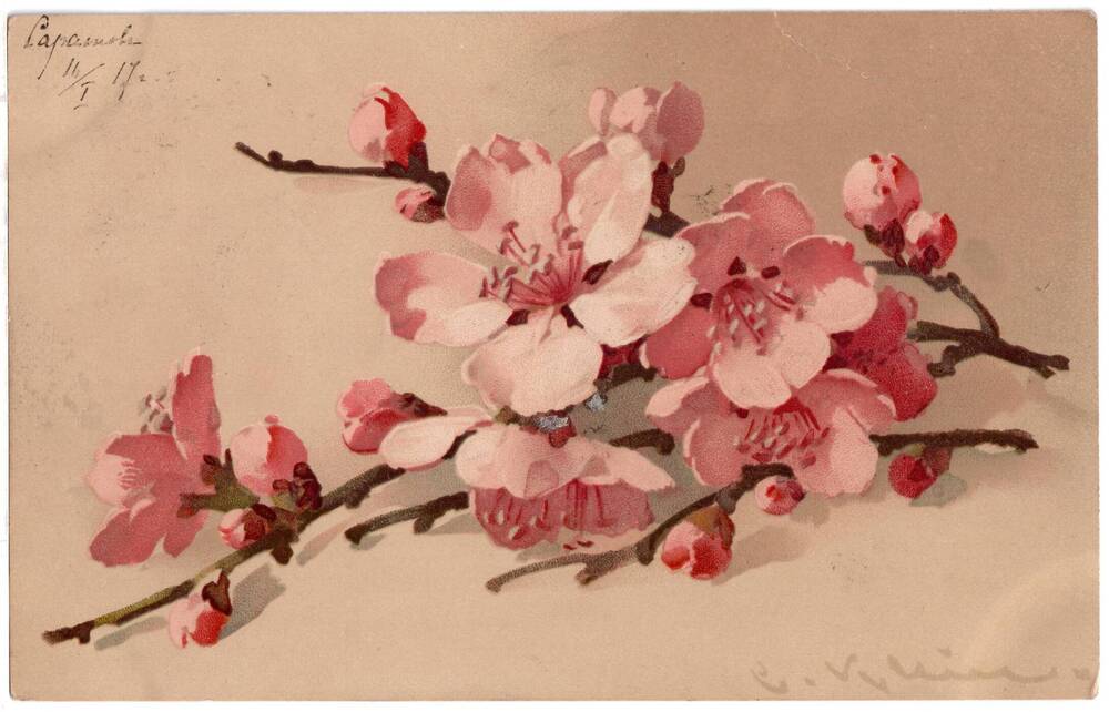 Почтовая открытка Ветка с розовыми цветами.