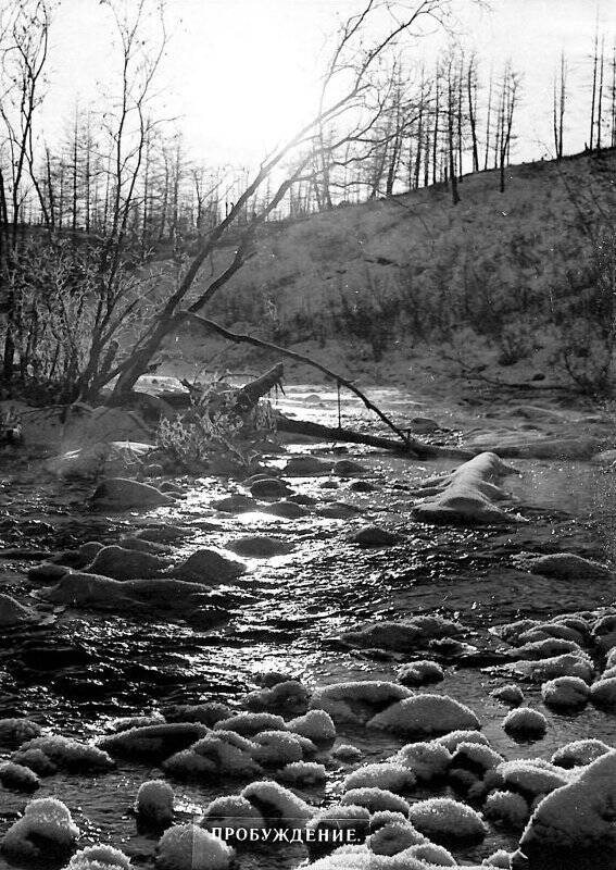 Фотооткрытка черно-белая. «Осеннее настроение. Озеро Лама». «Пробуждение».