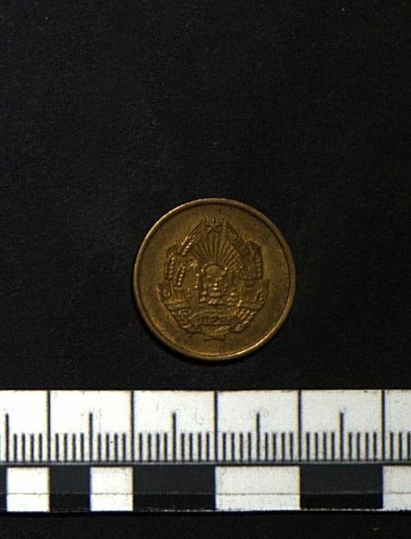 Монета. Монета «5 BANI». разменная, круглой формы серийного производства, медная