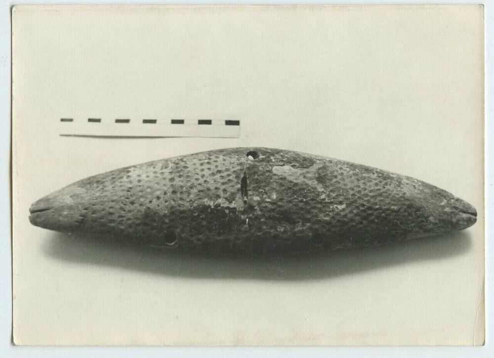 Фотография. Изображение рыбы Сига (?) периода первобытнообщинного строя. 