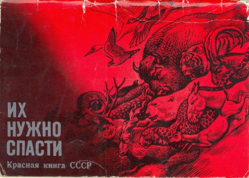 Комплект открыток Их нужно спасти. Красная книга СССР