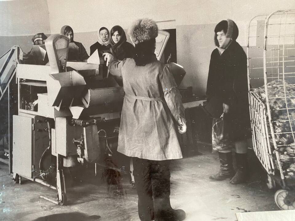 Фото чёрно-белое из альбома Механизация трудоёмких процессов в ОРСе в 1974 году. Работники ОРСа у линии для фасовки картофеля.