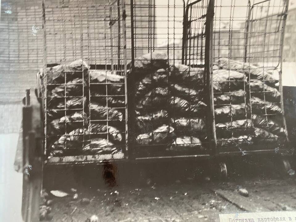 Фото чёрно-белое из альбома Механизация трудоёмких процессов в ОРСе в 1974 году. Использование катучих контейнеров для доставки фасованного картофеля в торговую сеть. Погрузка картофеля в автомашину.