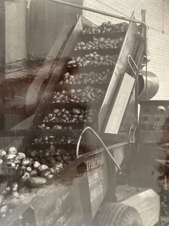Фото чёрно-белое из альбома Механизация трудоёмких процессов в ОРСе в 1974 году. Механизированная загрузка картофеля.